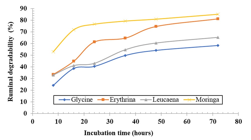 In situ ruminal degradability of the DM of protein plants