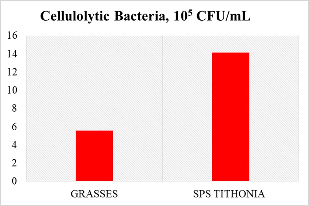 Effect of grazing in SPS with T. diversifolia on the number of cellulolytic bacteria in the rumen (105 CFU/mL)